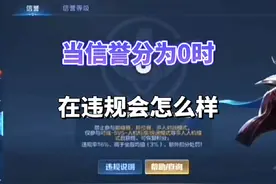 当信誉分为0时在违规会怎么样#王者 #匹配机制 #信誉分大残