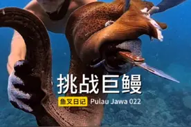 10米深，挑战巨鳗。探索爪哇岛 第二十二集