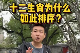 十二生肖如何排序 十二生肖为什么如此排序#十二生肖 #涨知识 #生肖文化 #冷知识 #传统文化 @DOU+小助手 @DOU+上热门