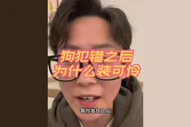 为什么小狗犯错之后都会装可怜#养狗经验分享 #新手养狗 #科学养狗