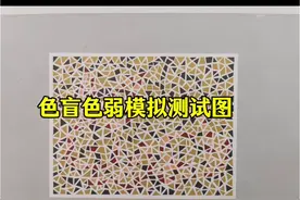 色盲色觉模拟测试图#爱眼护眼 #色盲色弱眼镜  #换证视频封面