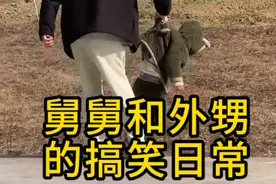 盘点舅舅与外甥的搞笑日常！舅舅带娃，开心就好！视频封面
