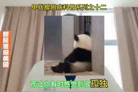 甲状腺眼病科普系列之十二#医学科普 #甲状腺相关眼病 #眼睑退缩视频封面