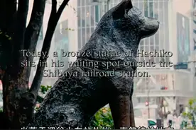 #忠犬八公 历史上真实的小八生于1923年11月的秋田县大馆市