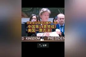 历史会记住这沉痛的一天！中国等14票赞成！美国一票否决！视频封面