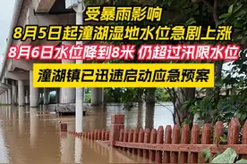 受暴雨影响，8月5日起潼湖湿地水位急剧上涨！ 目前水位8米超过汛限水位，潼湖镇已迅速启动应急预案！#惠州暴雨 #广东暴雨  #强降水 #防汛 #应急响应