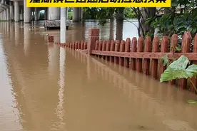 受暴雨影响，8月5日起潼湖湿地水位急剧上涨！ 目前水位8米超过汛限水位，潼湖镇已迅速启动应急预案！#惠州暴雨 #广东暴雨  #强降水 #防汛 #应急响应