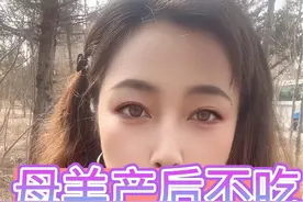 母羊产后不吃不喝不反刍怎么处理#每天分享牛羊养殖小知识 #适合全国各地饲养 #育肥肉牛犊肉牛养殖 #服务三农支持三农 #抖音助农视频封面