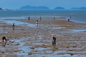 宁波周边五一赶海抓螃蟹🦀捡海鲜游玩攻略，车子可直达，出发前记得看好潮汐时间，自驾导航：宁海·下农即可#宁波赶海抓螃蟹捡海鲜好去处 #宁海周边赶海游玩推荐 #五一去哪儿 #户外赶海抓海鲜 #亲子游玩好去处