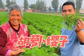 蒸胡萝卜缨子 你们吃过这样蒸的胡萝卜缨子没，特别劲道#新农人计划2024 #我的乡村生活视频封面