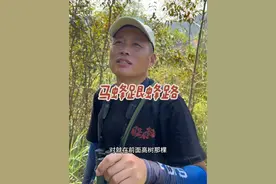 遇到叼树皮的怎么跟#马蜂#望远镜#户外找蜂