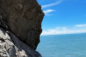 有谁知道这么多鱼云集岸边干什么呀#青海断崖 #这是什么鱼大家认识吗视频封面