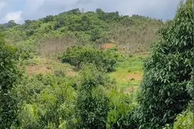 新加坡李主席祖坟