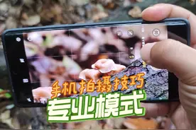 手机拍摄技巧：为什么你不懂用长焦？快学起来！ #手机拍摄技巧