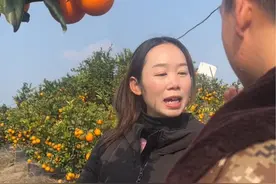 #大王来抓我呀 #新农人计划2024 #我为家乡农产品代言 七娃你会不会玩啊视频封面