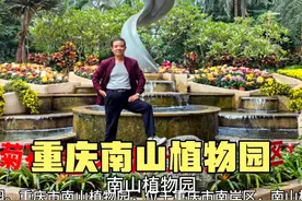 重庆南岸区南山植物园之旅：植物王国，自然生态的奇妙世界。视频封面