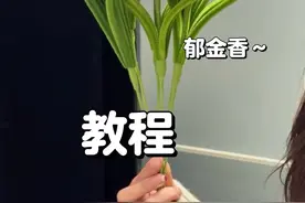 扭扭棒扭扭棒做郁金香 #扭扭棒郁金香 #手工diy #郁金香 #扭扭棒郁金香制作教程 #手工郁金香花制作