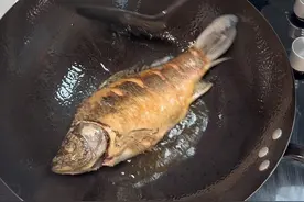 听我的 ，选会做饭的#鲫鱼汤 #鲫鱼丝瓜汤 #鲫鱼豆腐 #家常菜 #美食教程视频封面