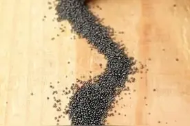 二战前期的子弹火药还能被点燃#军事科普 #军迷发烧友 #军事科技