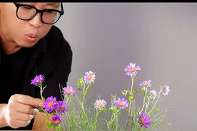 叶材在插花中的应用 棕榈叶可以这样插花#东方插花 #倪志翔 #东方自然风 #插花艺术 #插花 @抖音短视频