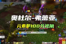 魔兽世界怀旧服 奥杜尔 弗蕾亚-元素萨100分视角~#魔兽世界 #WCL视频封面