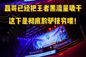 磊哥已经把王者的黑流量吸干了，这下算是彻底黔驴技穷喽！ #磊哥视频封面