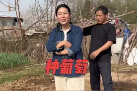 朋友送来四棵葡萄树，小丰想把它种在院墙边，为小院遮阳，婆婆想把它种在地头，最后听枚子的，这样安排可以不？#抖音记录农村生活 #记录我的真实生活视频封面