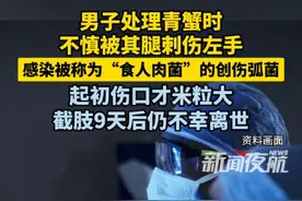 7月3日（发布），男子处理青蟹时不慎被其腿刺伤左手，感染被称为“食人肉菌”的创伤弧菌，起初伤口才米粒大，截肢9天后仍不幸离世。 