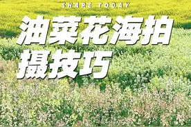 五个拍花新方法 通用油菜花拍摄教程，一个比一个好看，简单易学#拍花技巧 #拍摄花朵教程 #油菜花 #油菜花拍照 #拍花