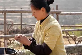又到吃野菜的季节，挖荠菜包饺子，一口咬下去，满满都是春天的味道。#普通的饭菜都是家的味道 #民宿#荠菜饺子视频封面