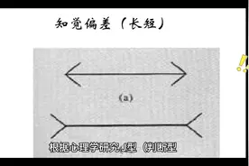 （374）J型（判断型）人格类型的人比P型（感知型）的人更容视频封面