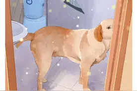 委屈，懂事的狗狗，太可爱啦。#画一个故事 #狗狗的心思都写在脸上了 #万物皆有灵性 #抖音创作季 #内容启发搜索视频封面