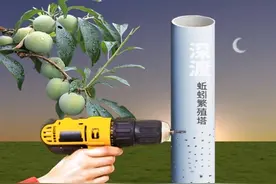 制作蚯蚓塔的材料：1m长左右塑料管，在下部30公分钻孔，埋土后，方便蚯蚓进出，管子内不填土，方便投放蚯蚓爱吃的牛粪等动物便便和蔬菜、落叶残余。蚯蚓能将有机废弃物迅速彻底分解，形成优质的蚓粪和酶化物滋养土壤和果树。#新农人计划2024 #来抖音学农技#2024新农人计划 #促花保果 #蚯蚓