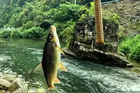 以鱼换虾，河边钓鱼打平伙 #钓鱼 #户外 #原来钓鱼才是抖音运动顶流 #记录真实生活视频封面