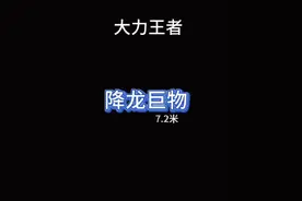 大力王者降龙7.2米巨物竿测评，可以挑起10000克？