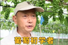 葡萄初学者庭院葡萄管理品种推荐！ 对于初学者，庭院种植者，先上手抗病丰产、自然坐果的美洲种如白香蕉（水晶）、康可、尼加拉等，还有刺葡萄（高山系列）、山葡萄后代（北冰红、北醇等）、贝达等。二倍体欧美杂交种（康拜尔早生、阳光玫瑰、茉莉香等）。四倍体欧美杂交种（巨峰、红富士、神峰等）。由浅入深，积累经验。#来抖音学农枝 #葡萄种植技术 #阳光玫瑰葡萄 #妮娜皇后 #葡萄新品种视频封面