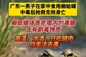 广东一男子在家中食用蟾蜍 中毒后抢救无效身亡