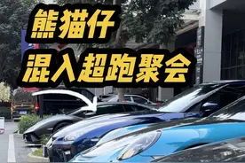 第一次见到那么多原装大尾翼 #ae86 #兰博基尼 #gt3rs #gtr #dou是好车