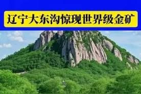 #辽宁大东沟惊现世界级金矿
