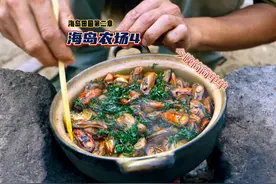 海岛农场今日开荒，简单来个海鲜煲仔饭犒劳一下视频封面