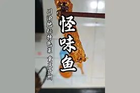 一道菜，带火一座城，开州怪味鱼保姆级教程来了！#大开州太好吃了 #怪味鱼 #开州怪味鱼教程 #鱼的花式吃法 #猴哥爱做江湖菜