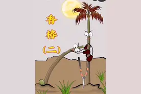 你不知道的香椿冷知识！#香椿 #植物 #科普 #植物科普 #动物视频封面