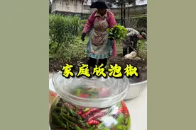 外婆今年的白菜种子没买对，所以只能在邻居家要了点白菜苗种下去等着冬天吃火锅，剩下的一点摆脚辣椒吃不过来做成了泡椒#记录真实生活 #我的抖音生活日记 #我的乡村生活 #新农人计划2024 #农村生活 @DOU+小助手 @DOU+上热门 @抖音短视频 @抖音创作小助手视频封面
