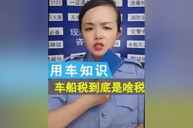 车停在家里不开 为啥还要补交车船税 #车辆脱审 #每天一个用车知识视频封面