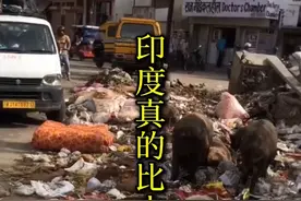 如果中国真的比印度强大那为什么不敢进攻我们？视频封面