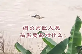 湄公河上惊现巨人观，法医们每天要面对什么