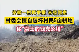 安徽一村民举报，村委会未经同意，擅自破坏村民5亩耕地视频封面