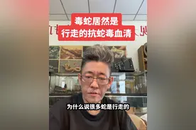 为什么说毒蛇本身居然是行走的抗蛇毒血清 研究表明，许多蛇的血清中含有抗蛇毒的有效成分，如五步蛇、王锦蛇和乌梢蛇的血清对五步蛇蛇毒具有显著的抵抗作用。这些蛇血清可能成为临床治疗毒蛇咬伤的高级药物。#抗蛇毒血清 #毒蛇研究中心 #就是因为热爱 #万能的抖音 #每日分享