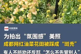为拍出“氛围感”美照，成都网红油菜花田被踩成“斑秃”，管理人员无奈：有观赏径，还设了警示牌。有人不听劝还反怼“怎么不先管别人”视频封面