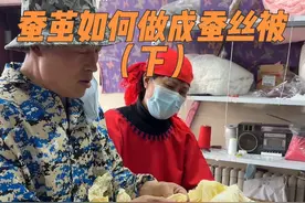 蚕茧如何做成蚕丝被（下） 前几个月北京的一位爷爷养了一些蚕，想给孙子做床蚕丝被，但是由于养的时候没有给蚕放支架，所以导致蚕吐的丝没有成型，是一张一张的，但是不影响使用，昨天对蚕茧进行了处理，处理起来工序还是比较复杂的，先是需要把蚕茧装进布袋子里面，不然锅盛不下，然后在锅里面加上清水，放点秘密佐料，再把装好的蚕茧放进锅里面煮，他这个因为是一张一张的不能煮的时间久了，所以大概煮个四十分钟就差不多了，煮轻了或者煮时间久了都会行对蚕丝质量都有影响，另外佐料放的也要适中不然对蚕丝质量也会有影响，煮好之后捞出来清洗，需要多清洗几遍，直到把水洗清为止，最后再晾晒，今天蚕茧晒干了开始做被子#蚕茧如何做成蚕丝被 #蚕茧做蚕丝被的过程 #蚕丝被 #